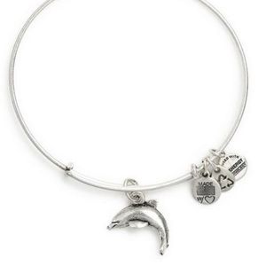 alex and ani dolphin